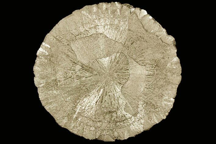 Large, Pyrite Sun - Sparta, Illinois #91014